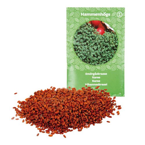 Preisvergleich Produktbild Kressesamen, 50 g - Gartenkresse