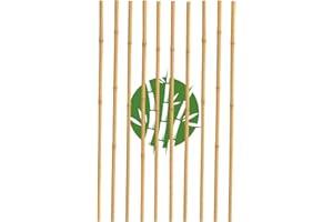 GENERICO Canne Bambù Naturale per Piante – Tutori Giardino Orto, Sostegni Rampicanti, Paletti Pomodori Melanzane – Bastoni Bamboo Trapianto Piantine, Cannette da Esterno e Interno (Bambù (120 cm), 10)