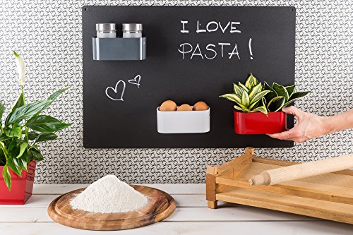 KalaMitica Magnetischer Kleiner Kasten, 2 Blumentöpfe Ø 6 cm, Weiß - 2