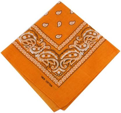 Paisley Bandana Bandanna Headwear Hair Bands Scarf Neck Wrist Wrap Headtie Band