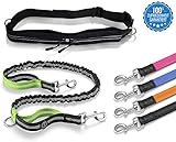 🐕 SCHÜTZEN SIE WAS IHNEN LIEB IST: Sicherheit ist das wichtigste Gut und kommt an erster Stelle! Unsere erstklassige Freilauf Hundeleine verfügt auf dem Gurt selbst über 3 Reihen Selbst-Reflektierende Sicherheits-Streifen. Auf diese Weise werden sowohl Sie als auch Ihr Hund in der Dämmerung und Dunkelheit von anderen Verkehrsteilnehmern viel besser gesehen bzw. frühzeitig wahrgenommen