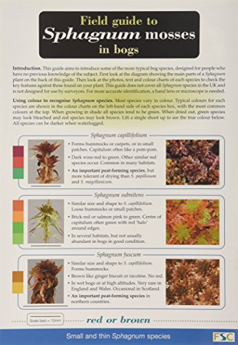 Preisvergleich Produktbild Field Guide to Sphagnum Mosses in Bogs (Chart)
