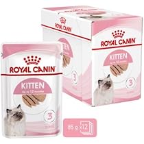 ROYAL CANIN Kitten Mousse en Salsa | 12 x 85 g | Comida húmeda ...