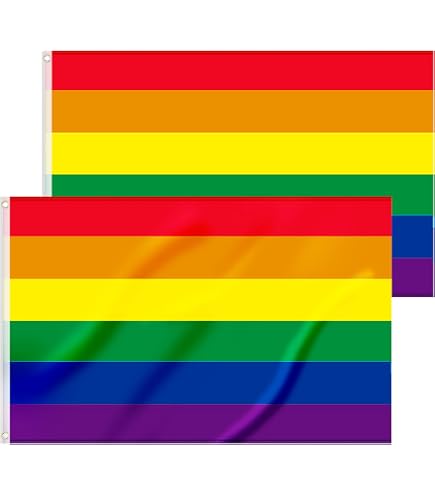 ACTOYS Guirlande Fanions Arc-en-Ciel 8 M – Drapeau Fierté LGBT Pride – 20 Drapeaux 28×18 Cm – Décoration Intérieur Extérieur Défilé Fête