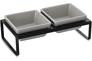 HCHLQLZ Szara miska kota miska dla kota z podwyższoną miską dla kota i szczeniaka - podwójne miski ceramiczne przeciw wymiotom i łatwe do czyszczenia 2×280 ml