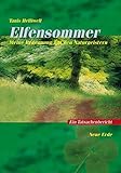 Elfensommer: Meine Begegnung mit den Naturgeistern by 