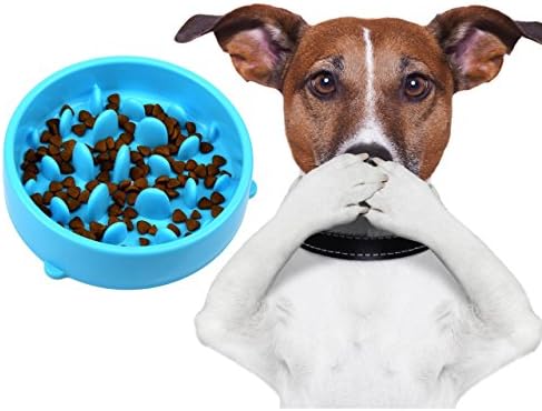 Dog Slow Feeder Bowl | Slow Eating Dog Bowl | Interactive Feeder | Slow Down Feed Dog Cat Feeding Bowl | Pet Bloat Stop Dog Bowl (Blue)