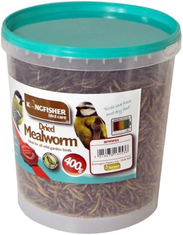 Kingfisher BFMW04 400g Tub of Mealworm