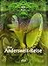 Die Anderswelt-Reise. Praxisbuch Schamanische Reise. by 