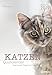 Stefan Heine Katzen-Quiz 2019 Wochenkalender - Rätselkalender, Wandkalender, Tierkalender 2019 - 23,7 x 34 cm by 