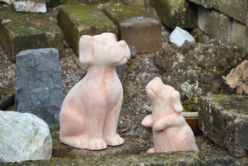 Hundepärchen,Gartendeko,Terracotta,frostfest,35cm+26cm hoch - 2