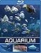 Produktbild Exotisches Salzwasser Aquarium [Blu-ray]