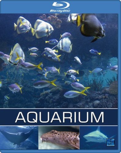 Preisvergleich Produktbild Exotisches Salzwasser Aquarium [Blu-ray]