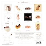 Image de Anne Geddes Beginnings 2011 Calendar