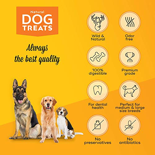 100-Naturel-Bois-de-Cerf-pour-Chien-Corne-Jouet-Os-a-Mcher