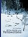 Die Wölfe von Yellowstone by 