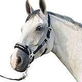 ESKADRON CONTROL Halfter inkl. Führkette, schwarz, Vollblut