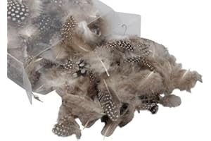 RiloStore 1 Pack Perlhuhnfedern Osterdeko Basteln Federn Perlhuhn Federn Deko Ostern Feder Hühnerfedern o787