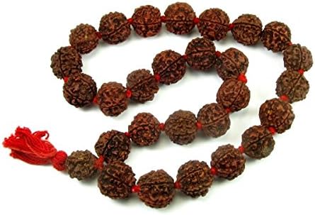Creative Ventures Rudraksha Seeds Hand Prayer / Meditation Mala 27 Beads At 16Mm Brown