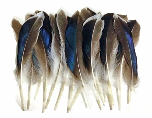 ERGEOB Natürliche Haarstockente federn geflügel grün Stockente Ente Federhaar 8-13 cm (3-5 Zoll) Länge