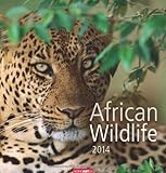 African Wildlife 2014 by 