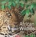 African Wildlife 2014 by 