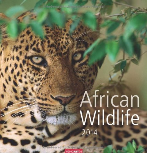 African Wildlife 2014