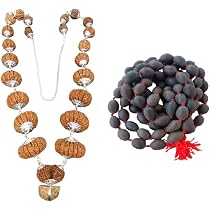 Indrani Mala Original Certified 1 21 Mukhi Rudraksha Mala Nepali ...