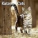 Katzen - T & C-Kalender 2011 by 