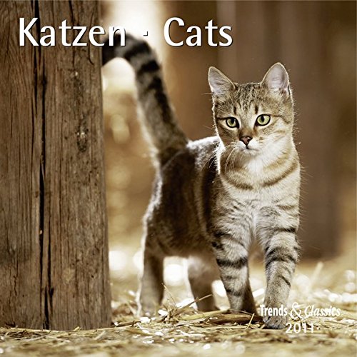 Katzen - T & C-Kalender 2011