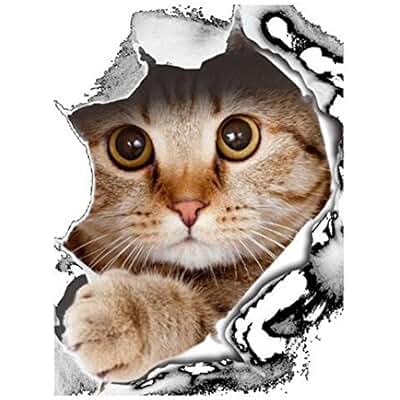 Suchergebnis auf Amazon.de für: katze - WC Zubehör / Badaccessoires