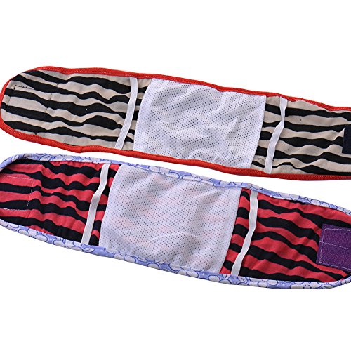 Male-Dog-Puppy-Belly-Band-Pants-Incontinence-Protector-Diaper-Wrap-Underwear-Washable-Pet-Toilet-Urination-Training-Pads-Random-Colour