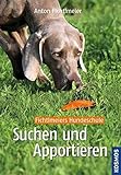 Image de Suchen und Apportieren: Denksport für Hunde