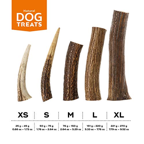 100-Naturel-Bois-de-Cerf-pour-Chien-Corne-Jouet-Os-a-Mcher