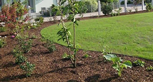 Rasenkanten Edelstahl 18 cm hoch mit neuer vertikaler Versteifungskante - 4