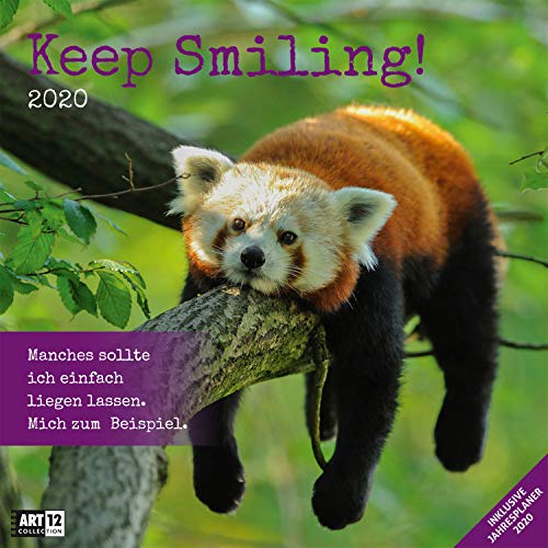 Télécharger Keep Smiling 2020, Wandkalender / Broschürenkalender im Hochformat (aufgeklappt 30x60 cm) - Geschen livre En ligne