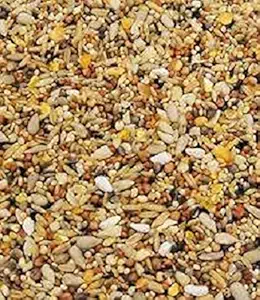 HANU Bajri Bird Food 1KG | Mix Seed for Budgies, Love Birds, Cocktails and Finches, Small Birds 05
