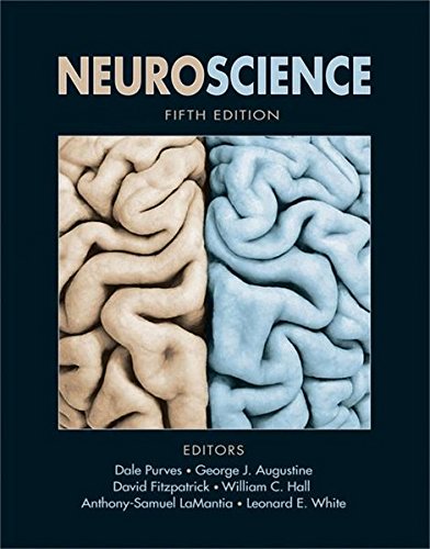 Neuroscience livre