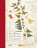 Image de Das Wesen der Pflanze: Botanische Skizzenbücher aus sechs Jahrhunderten