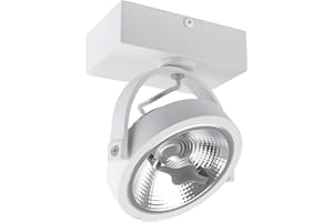LEDKIA LIGHTING - Foco LED 15W CREE Direccionable | Regulable AR111 | Blanco Cálido 2700K | 800 lm | Rotación 350º | Durabilidad 40,000 Horas | Aluminio PC, Multicolor
