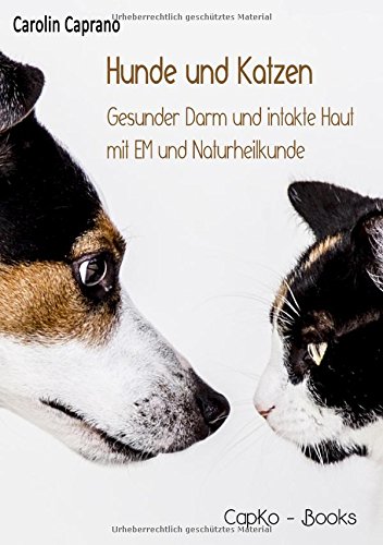 Literatur Zum Thema Katze - 