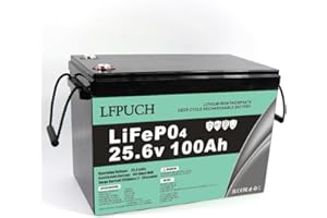 GENERIC Batteria LiFePO4 24V 100Ah, batteria al litio ferro fosfato invece della batteria AGM per auto o batteria a ciclo profondo, per camper, barca, sistema solare, campeggio all'aperto, ecc.