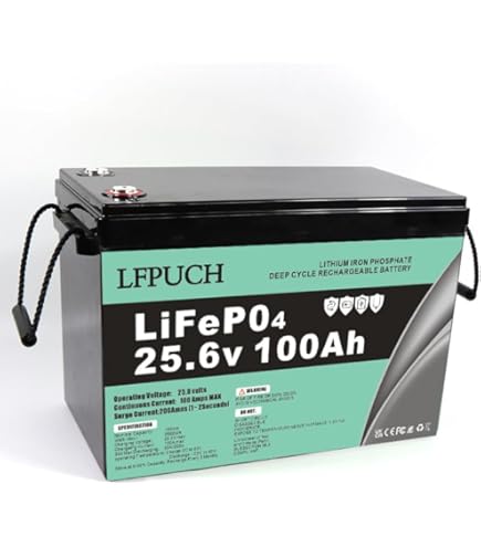 Batteria Al Litio Ferro Fosfato 12V 100Ah LiFePo4 Con BMS Smart | FAAM - Foto 3