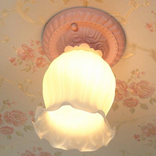Wow Simple Warm and Romantic Korean Pastoral Simplicity Pendant Lights Ceiling Lights For Kid'S Room,Powder Chassis
