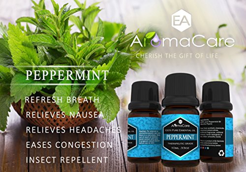 EA AromaCare – Aromatherapie Ätherische Öle Geschenkset – Therapeutische Qualität, 100% rein, (Lavendel, Pfefferminze, Zitronengras, Teebaum, Eukalyptus, Orange) - 5