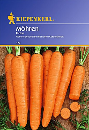Möhren 'Rotin',1 Portion