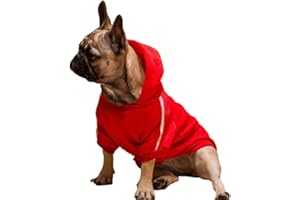 Ducomi Felpa Cappuccio Cane 100% Cotone – Cappotto Cane Taglia Piccola, Media e Grande, da Chihuahua, Bulldog Francese a Labrador, Pitbull, e Amstaff, Comodo Pullover Cani (Rosso, L)