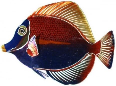 Next Innovations WA3DMANGELFISHMULTI CB Angelfish Refraxions 3D Wall Art, Multi