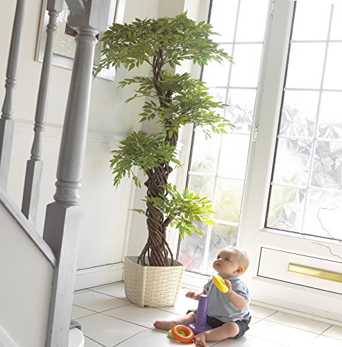 Stilvoller künstlicher Baum & Pflanzen, Der Japanese Fruticosa Tree ist eine wunderschöner künstliche Pflanze für Büros und Innendekorationen Höhe: 165cm groß. Pflanzen für einen Wintergarten