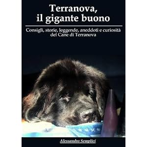 Terranova, il gigante buono Terranova, il gigante buono